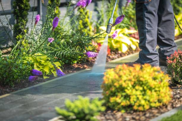Best Driveway Pressure Washing  in Boaz, WV