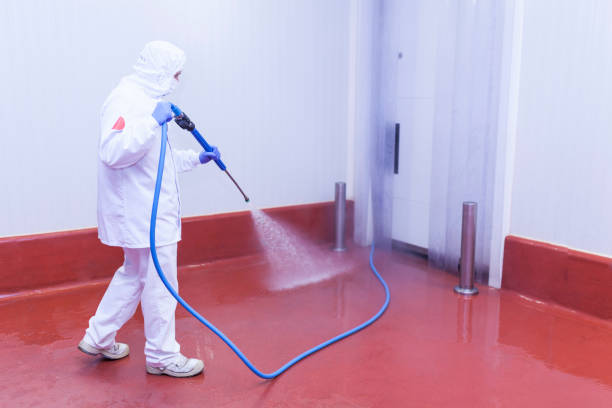 Best Restaurant Pressure Washing  in Boaz, WV